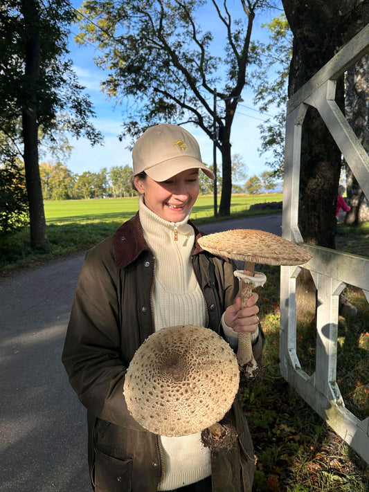 Høstens beste matsopper