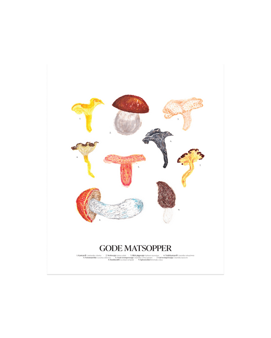 Gode matsopper sopp-plakat