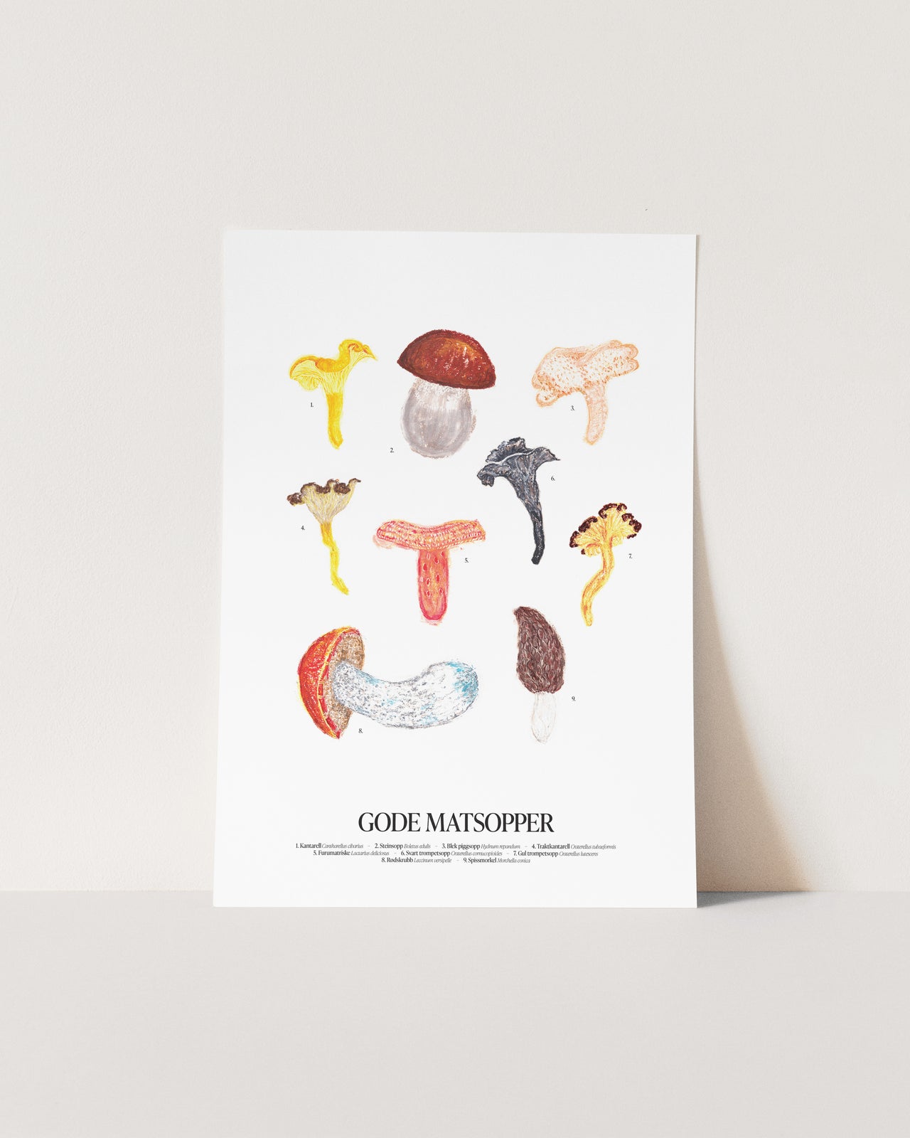 Gode matsopper sopp-plakat