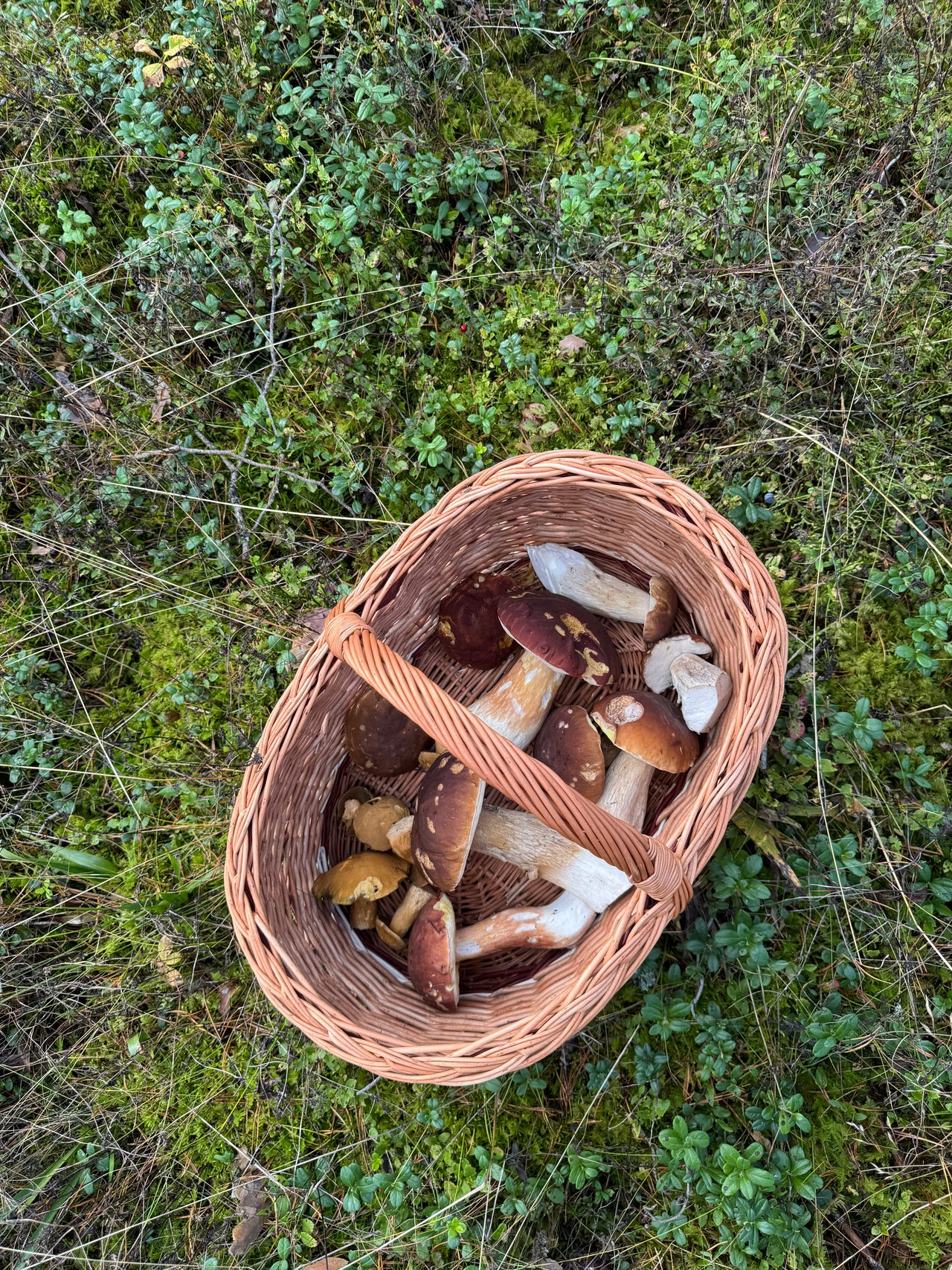 Stor flettet kurv med kastansjebrune detaljer