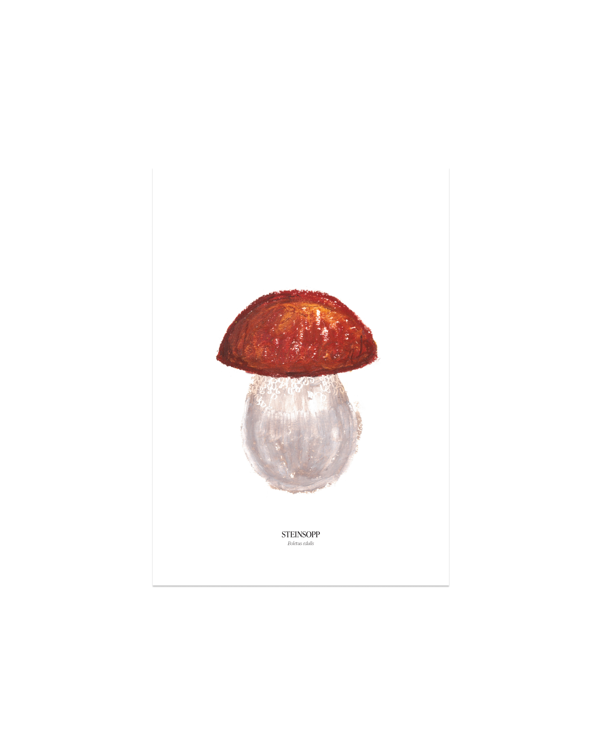 Steinsopp sopp-plakat