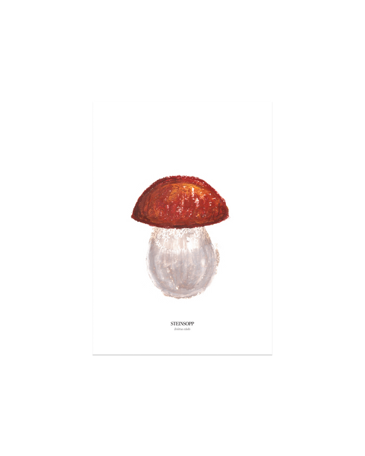 Steinsopp sopp-plakat